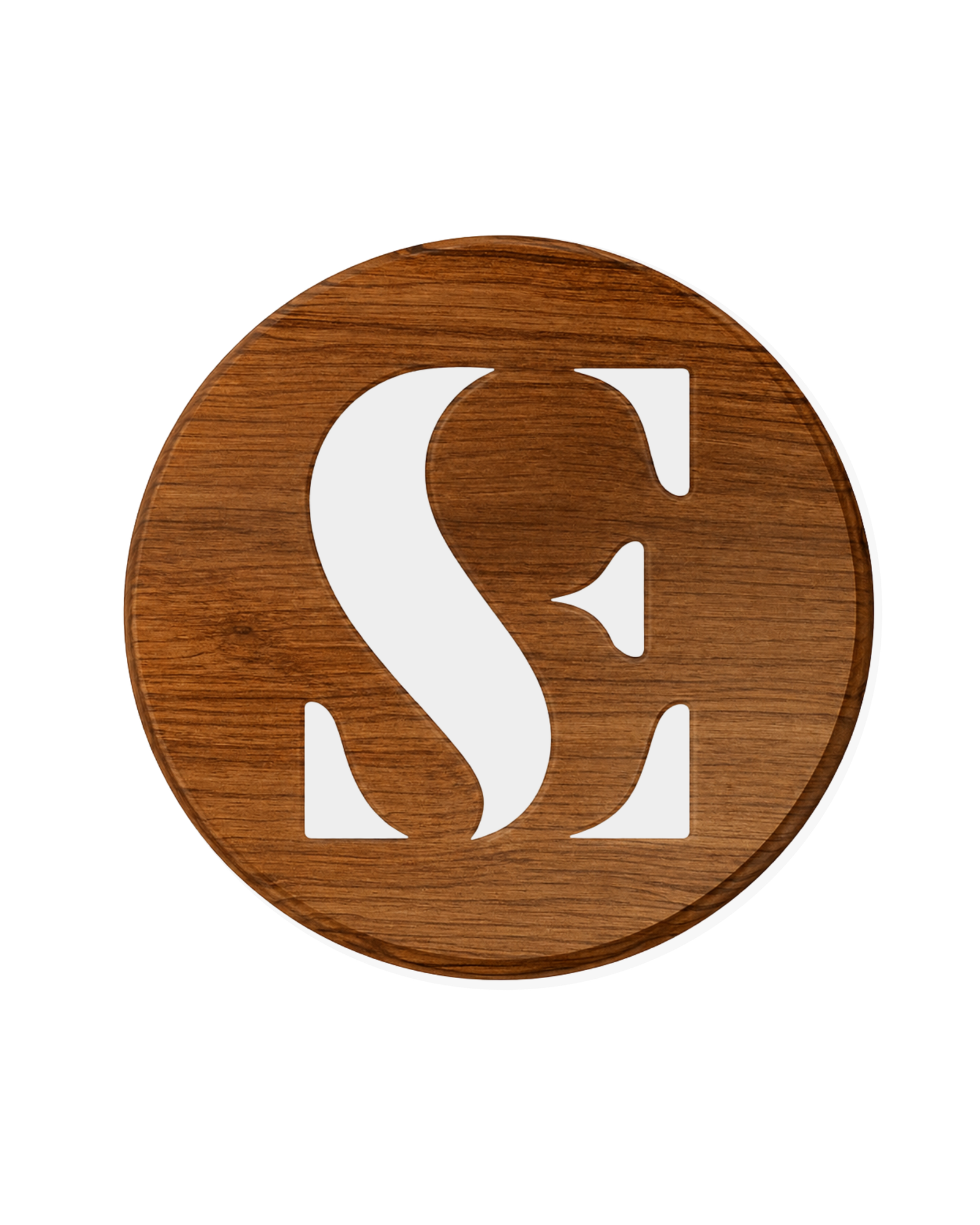 Shayona Enterprises logo